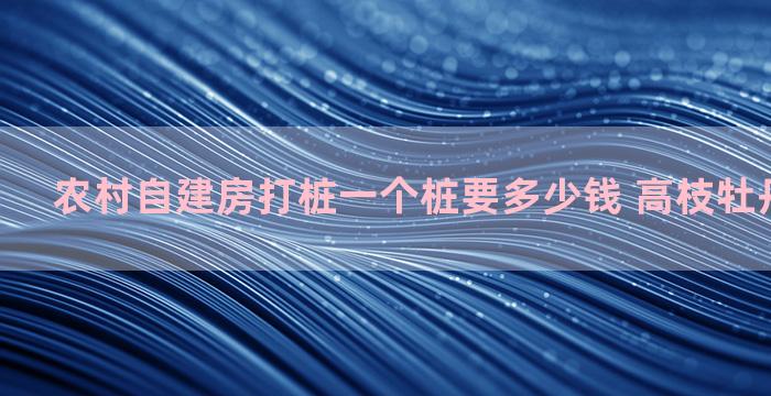 农村自建房打桩一个桩要多少钱 高枝牡丹嫁接方法